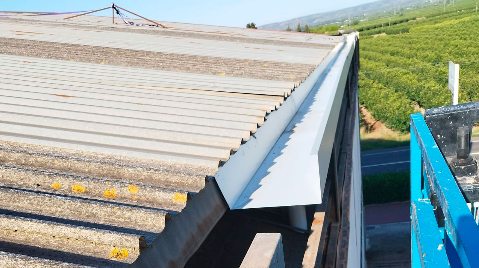 Cubierta industrial de fibrocemento envejecida con canalón metálico nuevo, rodeada de vegetación agrícola al fondo.